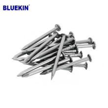 Tianjin Factory Low Price Common Wire Iron Nail